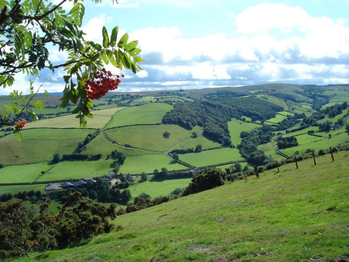 Rose Cottage Dutlas Knighton (Powys) Exterior foto