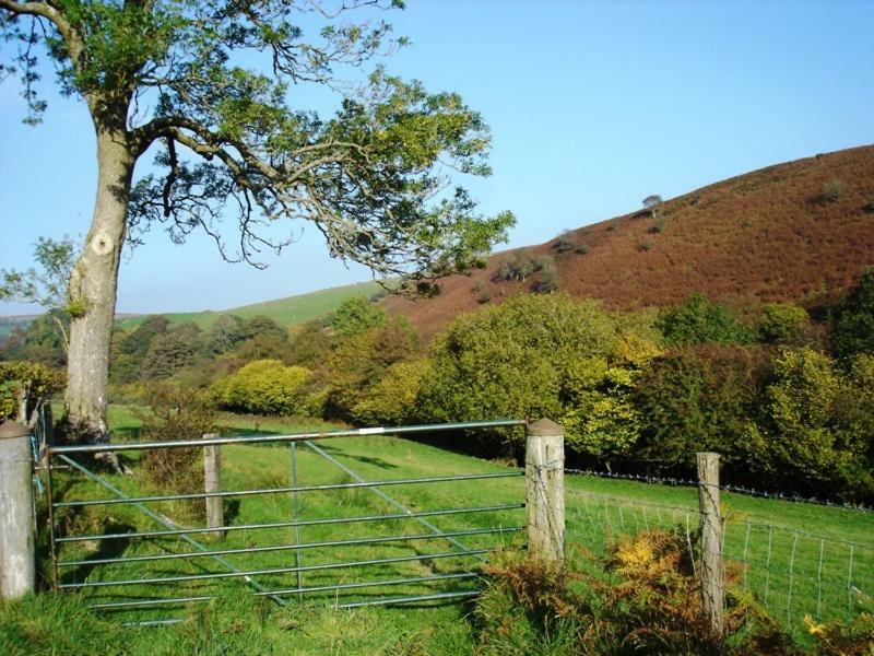 Rose Cottage Dutlas Knighton (Powys) Exterior foto